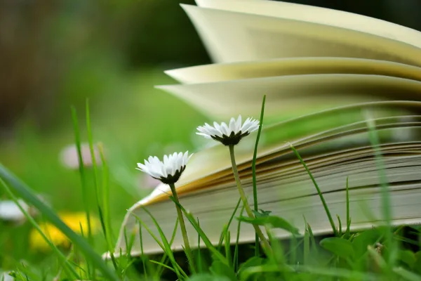 An image of the edge of a book laying in grass with flowers around it