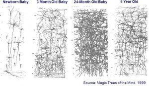 Child Brain Growth