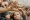 Adobe Stock 466487806